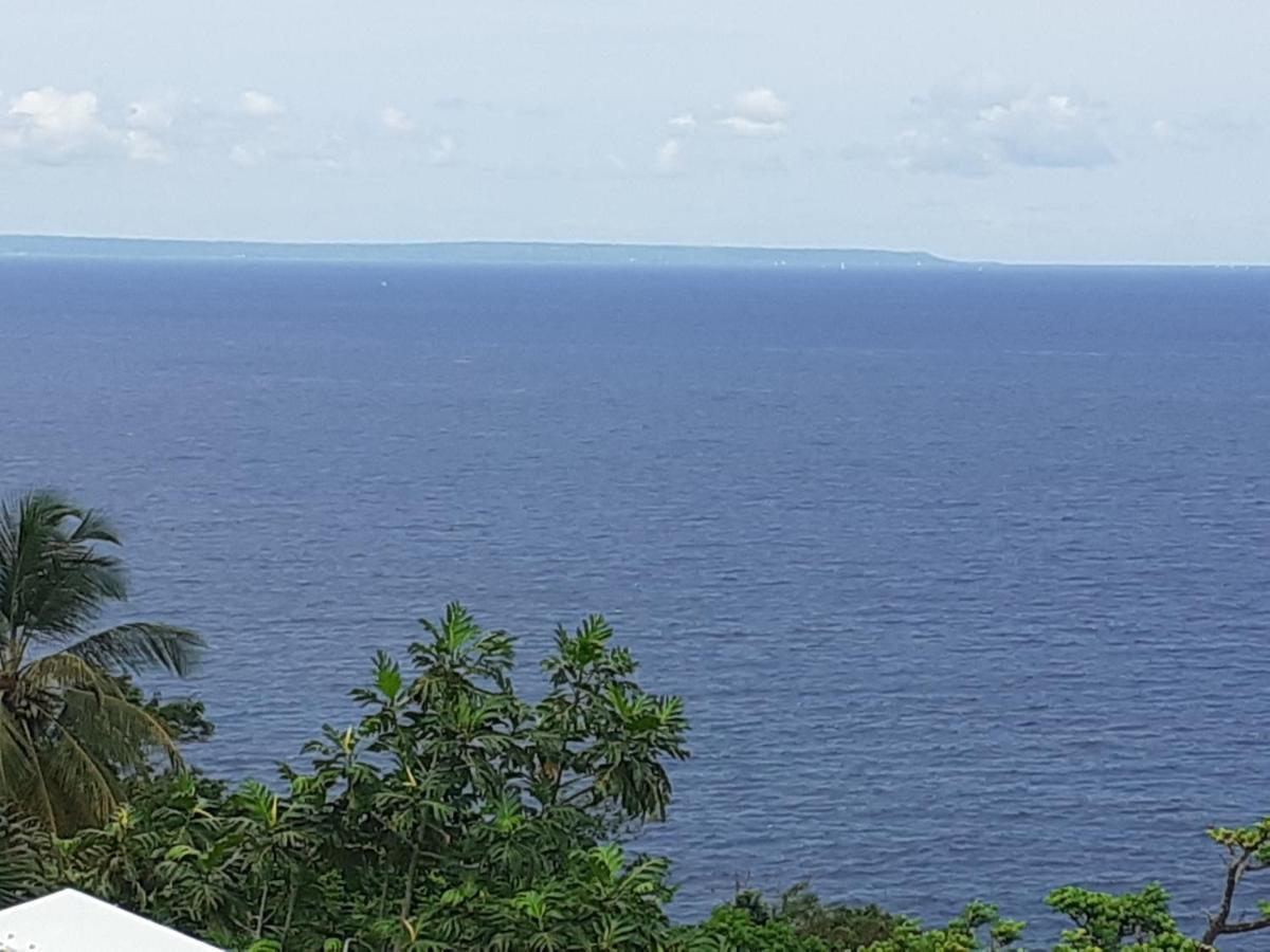Awmony'Kaz, Gite A Trois-Rivieres Guadeloupe Екстериор снимка